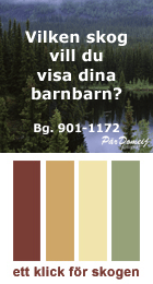 Ett Klick för Skogen